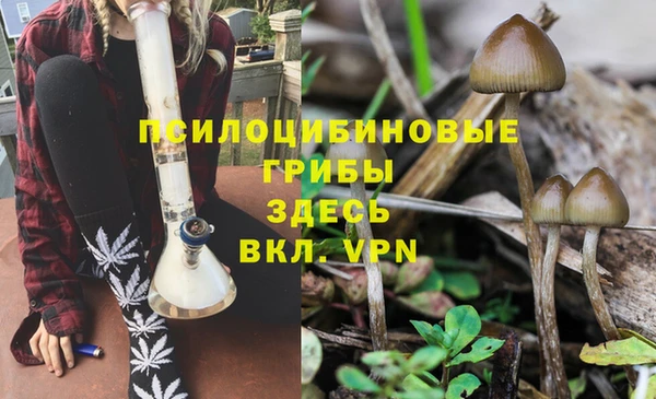 2c-b Алексеевка