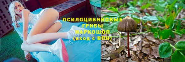 прущие крисы Алзамай