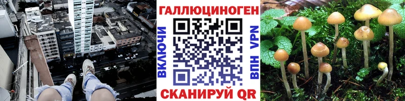 Галлюциногенные грибы Cubensis  Лобня 